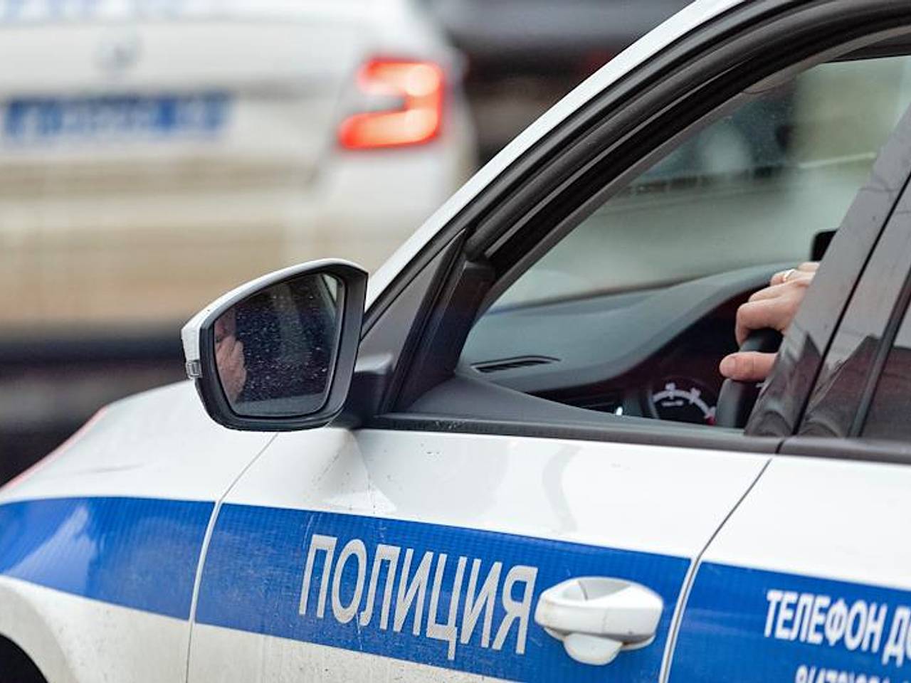 Россиянин избил щенка на глазах у соседей и предложил избавиться за 100 тысяч рублей