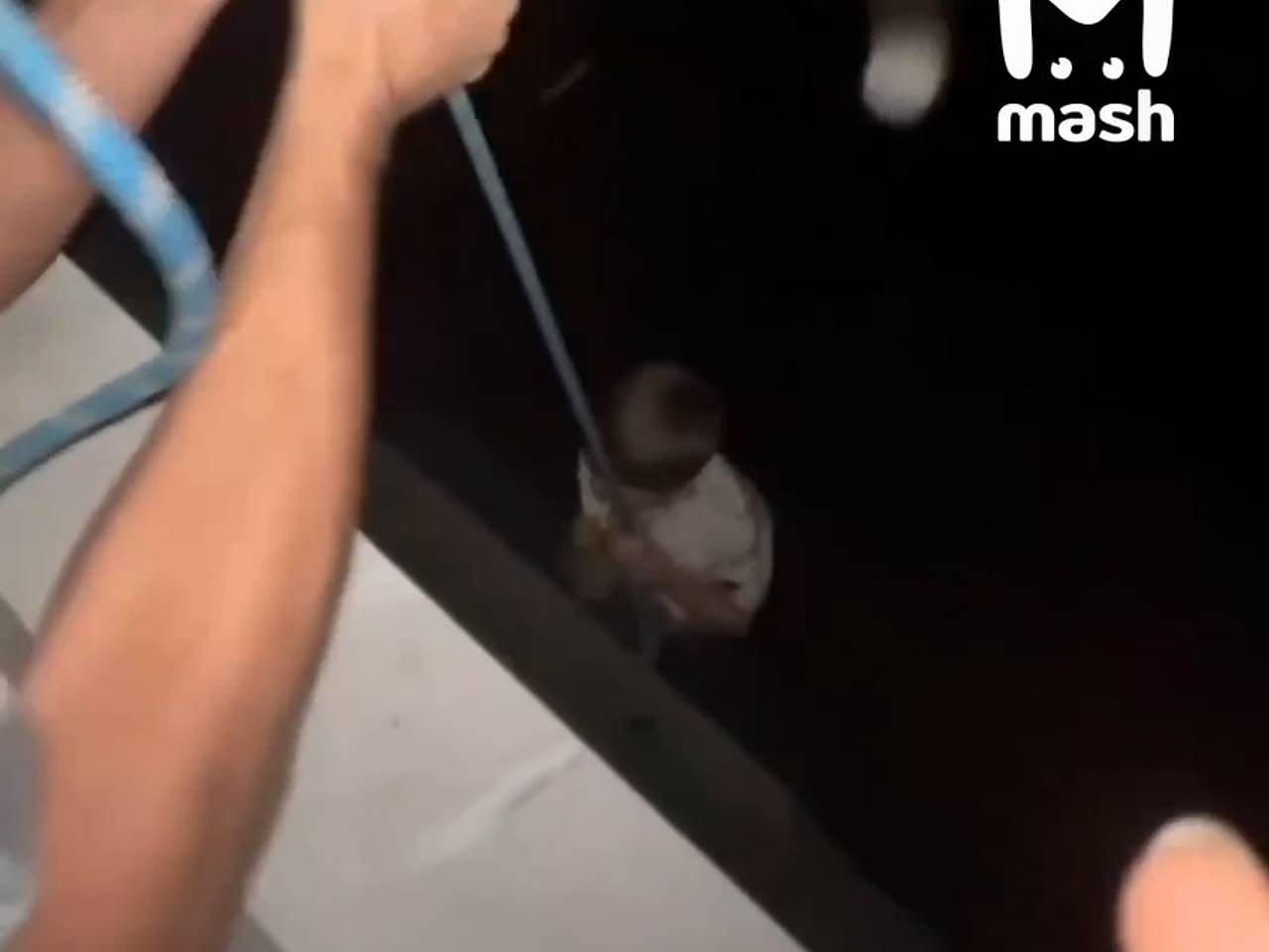 Россиянин спустил сына по веревке с балкона на седьмом этаже и попал на видео
