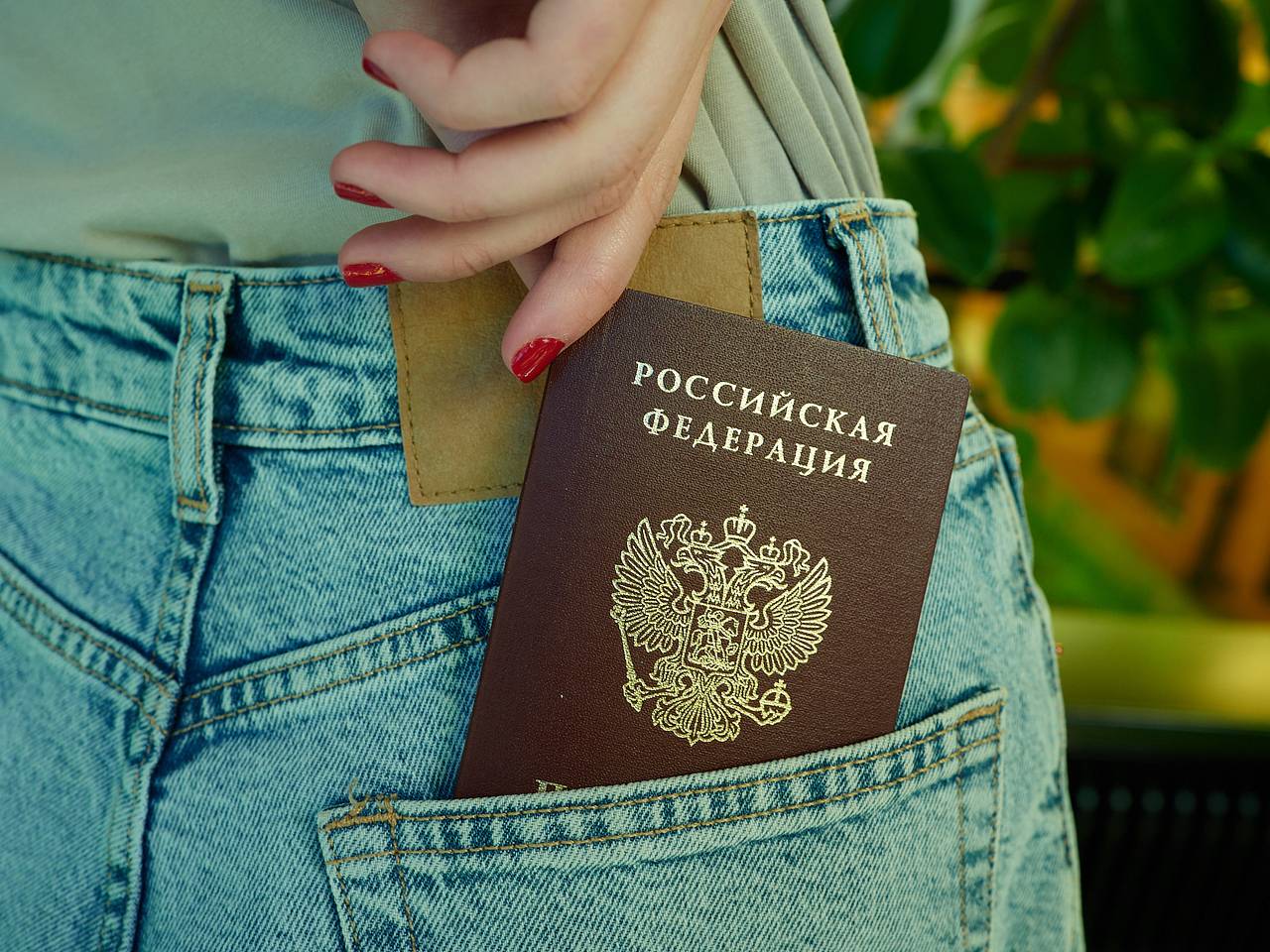 В Госдуме предложили альтернативу паспорту
