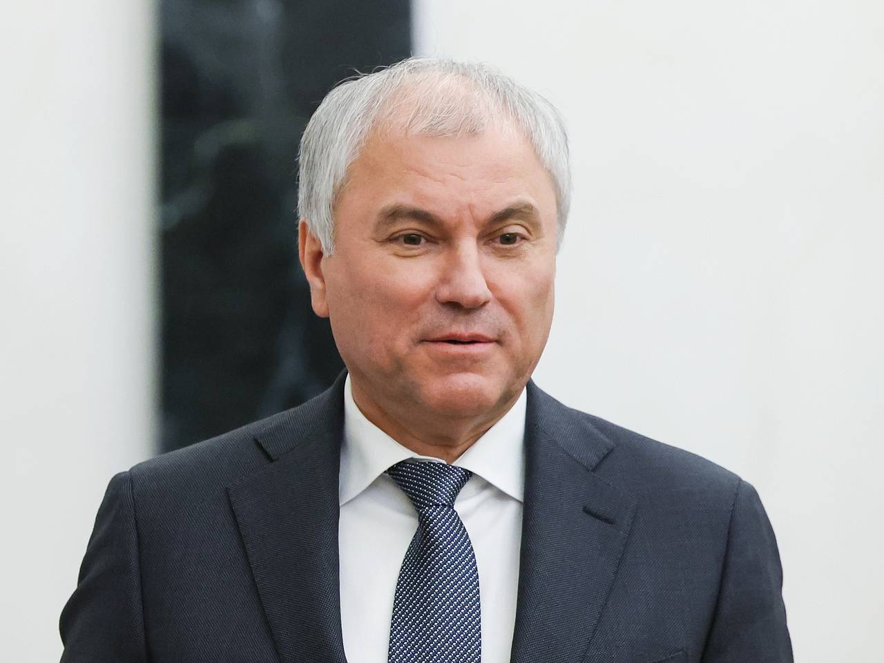 Володин направил в Госдуму проект об отказе в гражданстве России мигрантам с судимостью