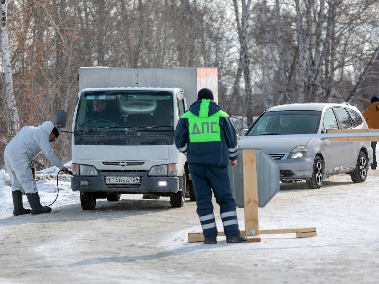 Названа причина вспышек пастереллеза у скота в Новосибирской области