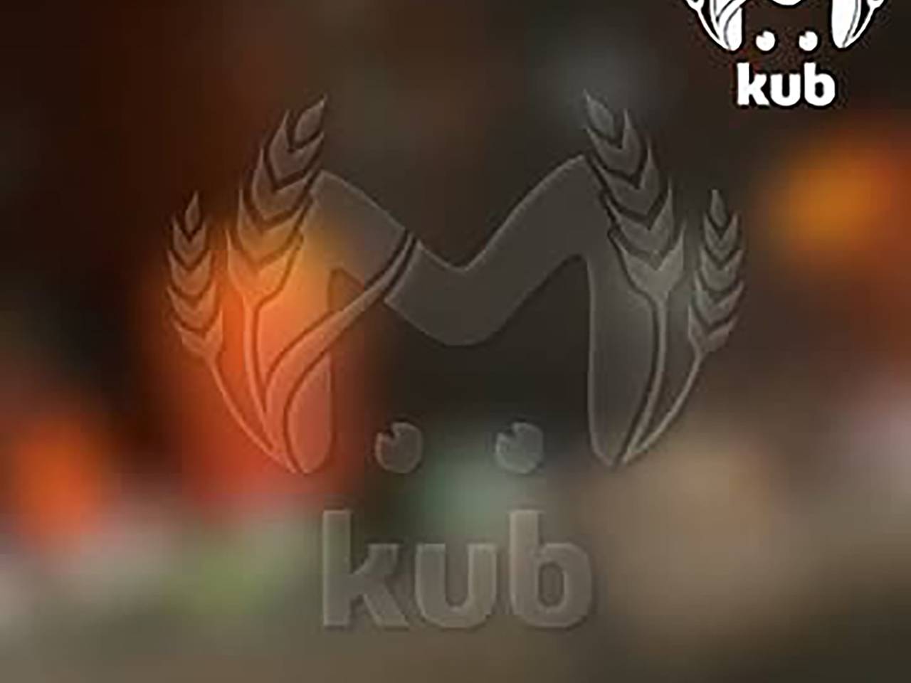 Появились кадры из атакованного ВСУ Новороссийска