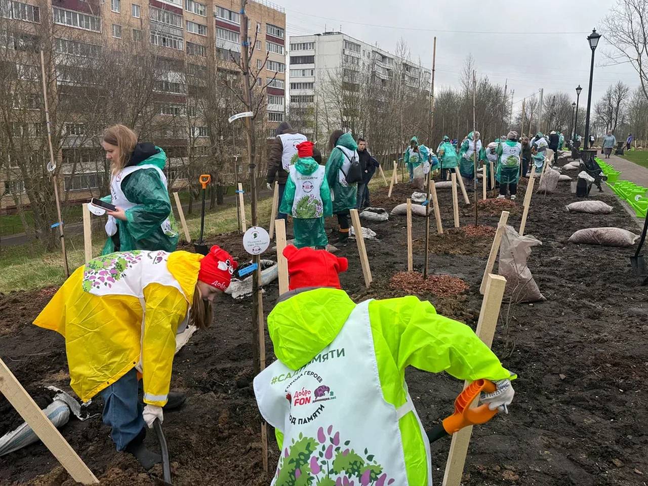 В Можайске в годовщину начала Великой Отечественной войны заложили памятную Аллею ДоброFON