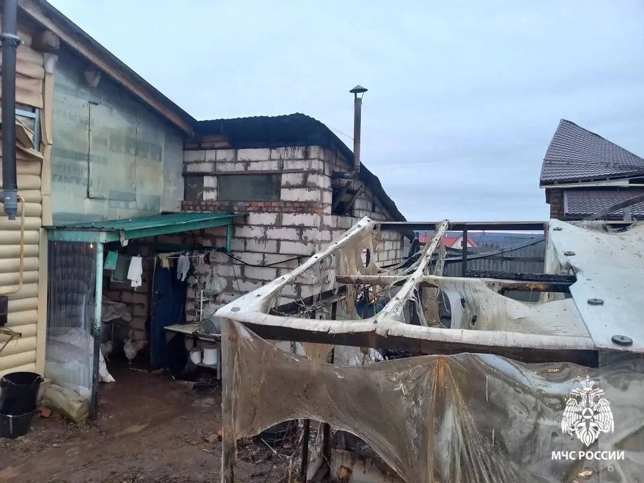 Котенок спас жизнь хозяйке во время пожара в Удмуртии