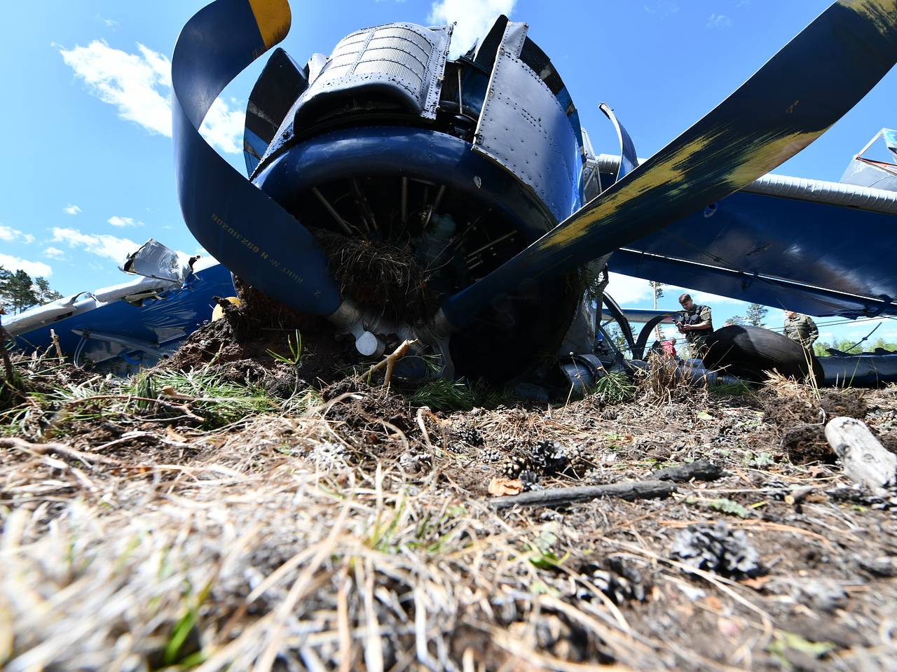 Число пострадавших при аварийной посадке самолета в российском лесу выросло