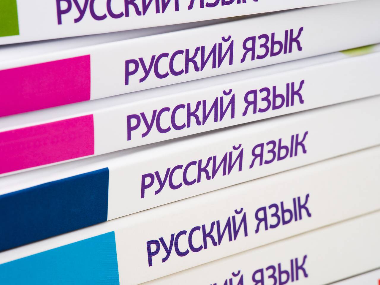 Путин призвал увеличить количество часов русского языка в начальной школе