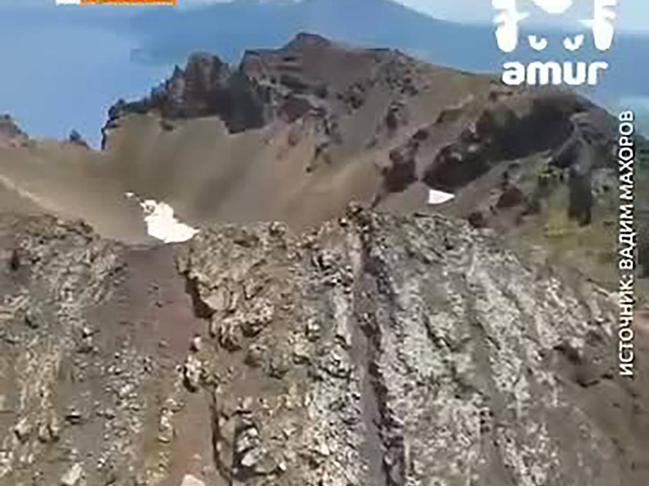 Медведи-альпинисты покорили вулкан в России и попали на видео