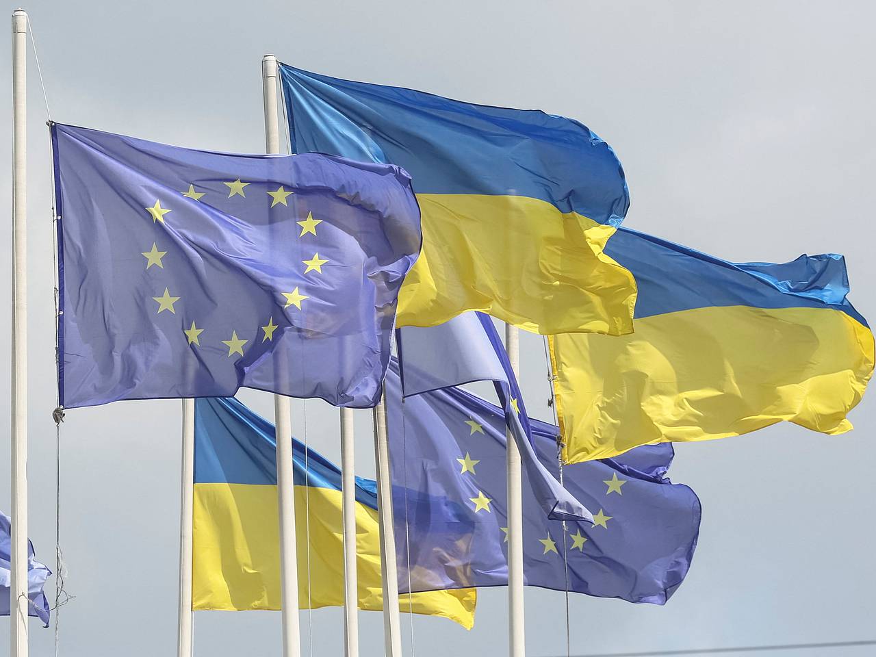 В России оценили попытки ЕС подключиться к переговорам по Украине