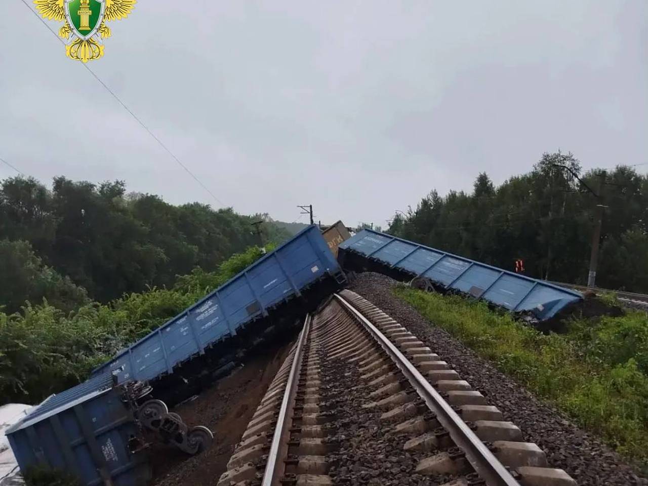 Поезд сошел с рельсов в российском регионе