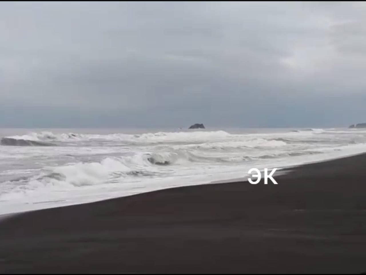 Гибель птиц на Камчатке
