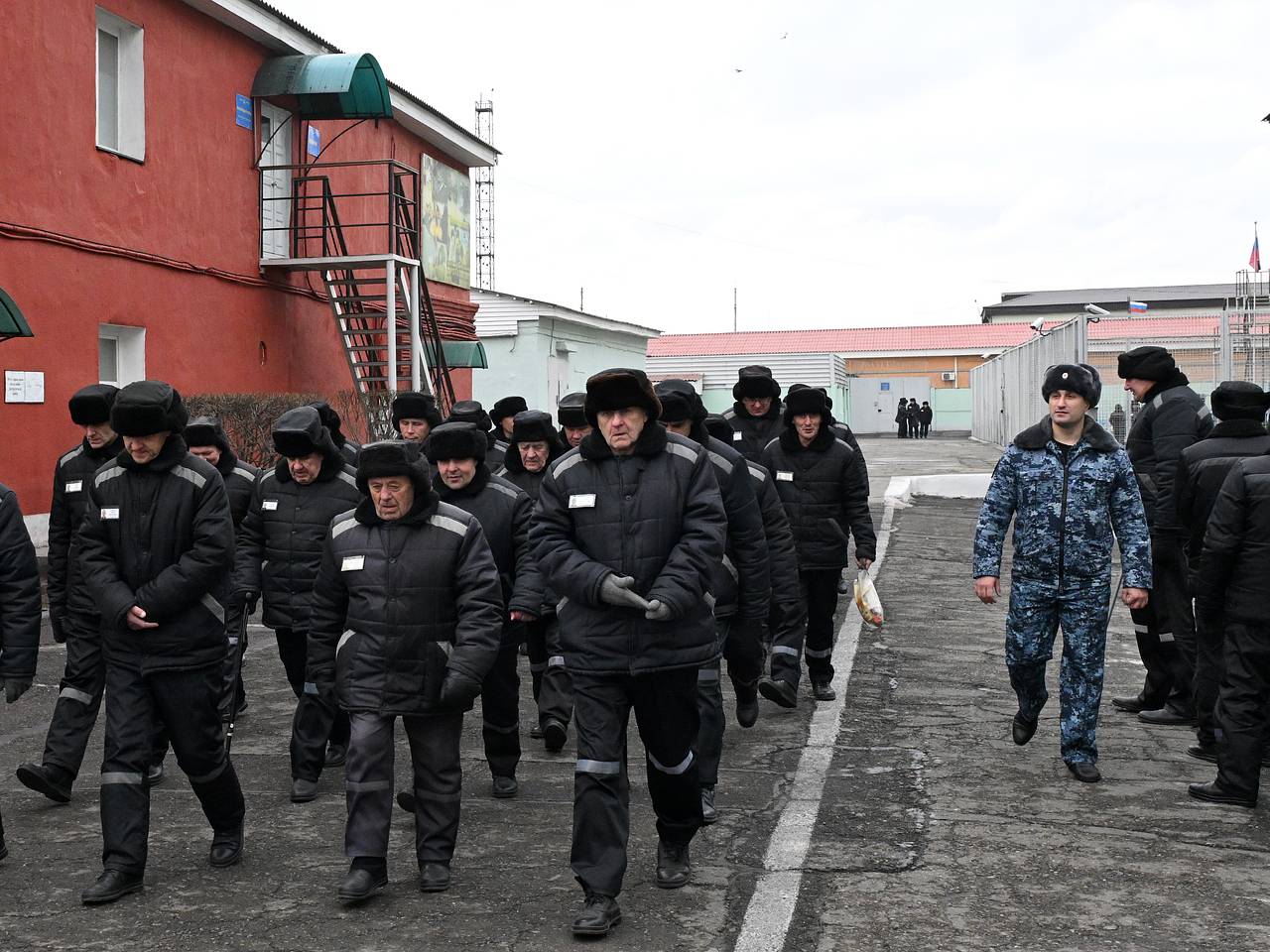 Суперколонии в России