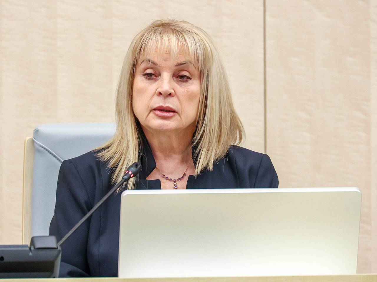 Памфилова заявила о &laquo;мерзких бандероуродах&raquo; и &laquo;киберсволочи&raquo;