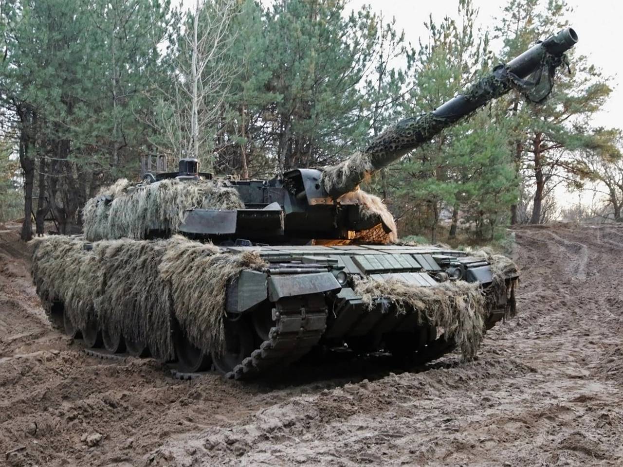 Украина бросила против России «дикую кошку»