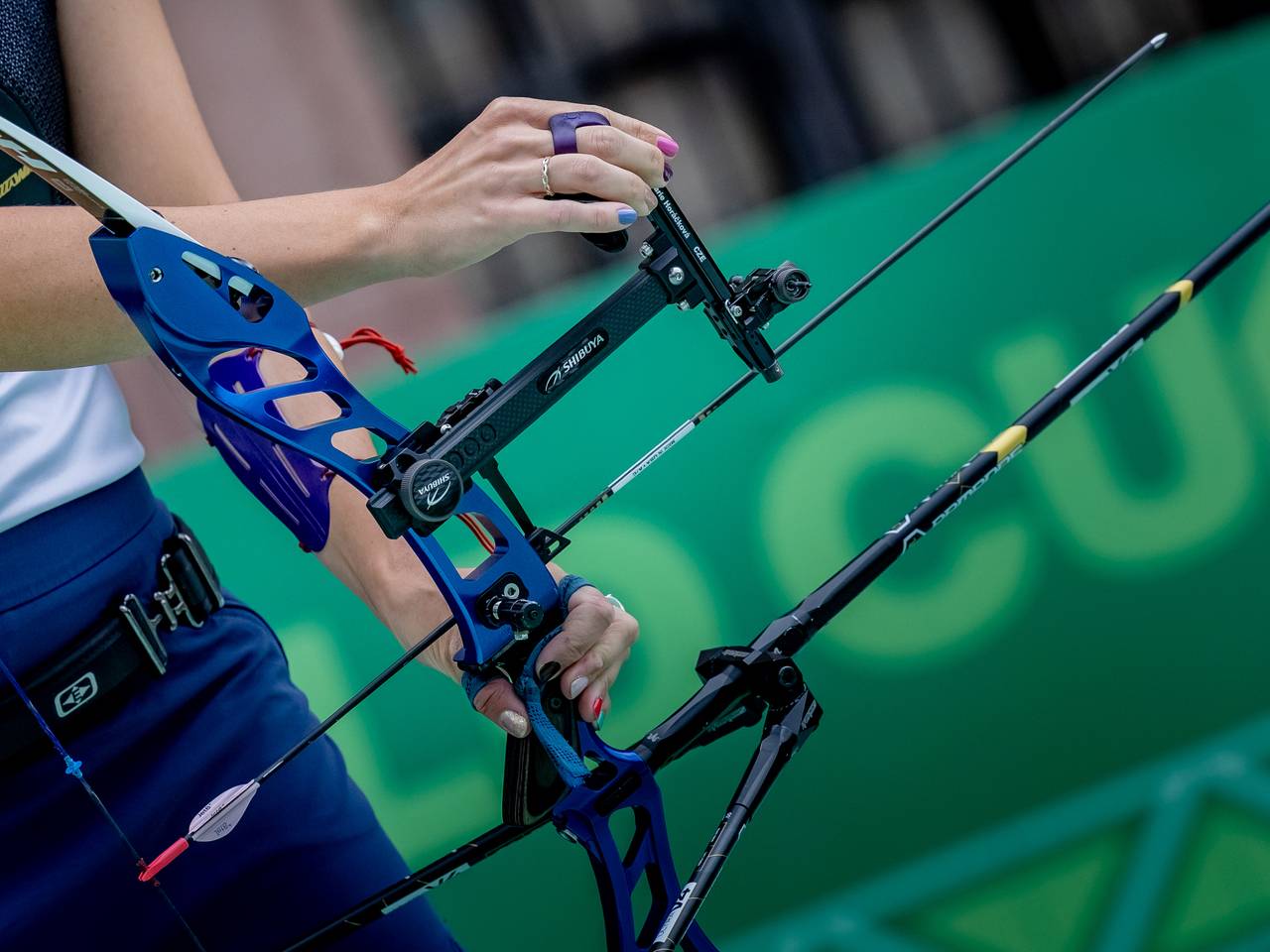 Российские лучники выиграли четыре медали на чемпионате мира по 3D-стрельбе в США
