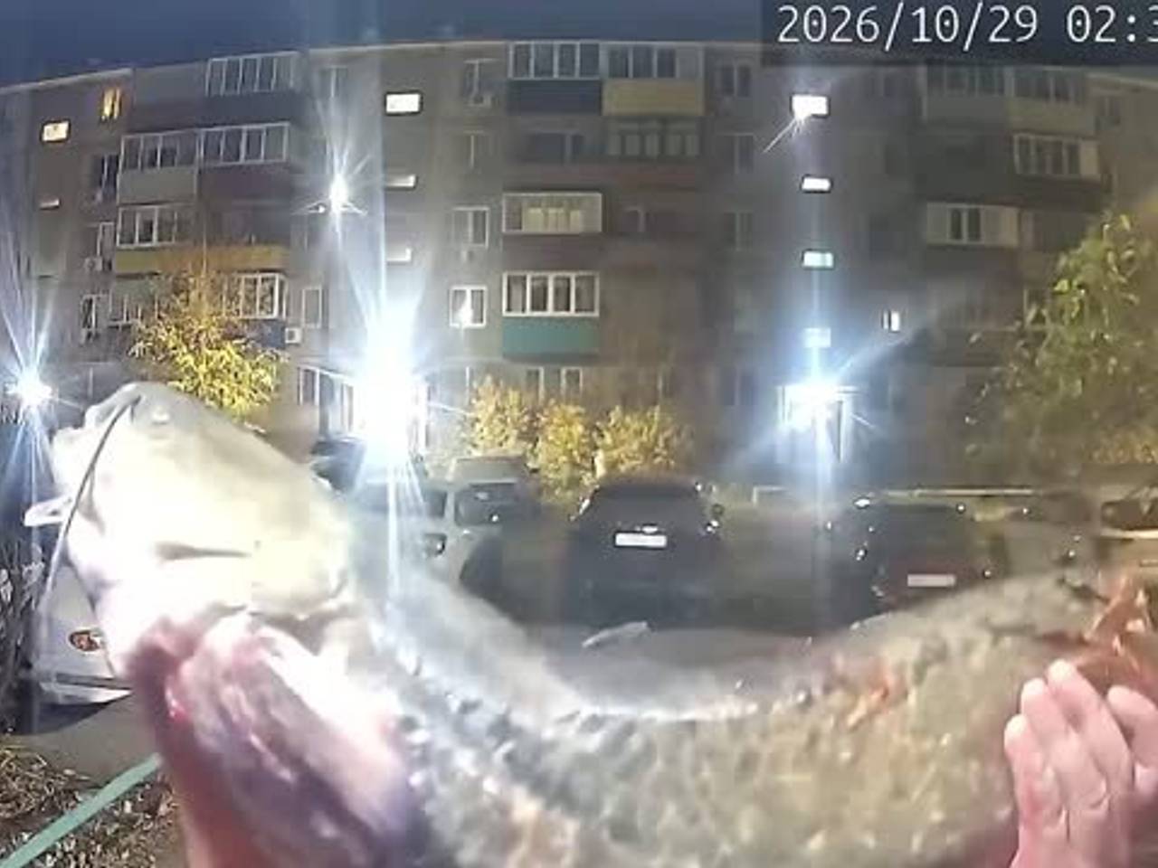 Рыбак в России устроил презентацию улова перед камерой домофона